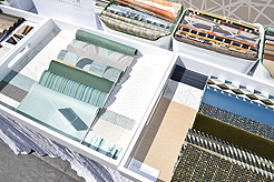 MOMENTUM - MULTI-VENDOR